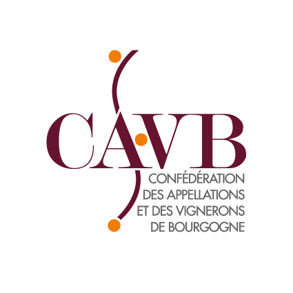 logo CAVB